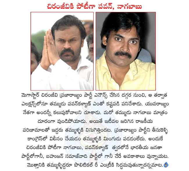 chiranjeevi brother nagababu,chiranjeevi brother pavan kalyan,chiru brothers want to re entry in politics,pavan kalyan and nagababu will be in bjp and bahujan samaj vadi party  chiranjeevi brother nagababu, chiranjeevi brother pavan kalyan, chiru brothers want to re entry in politics, pavan kalyan and nagababu will be in bjp and bahujan samaj vadi party